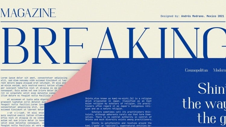 Quimera Serif Font preview image 4