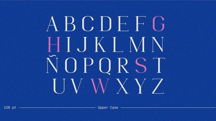 Quimera Serif Font preview image 3