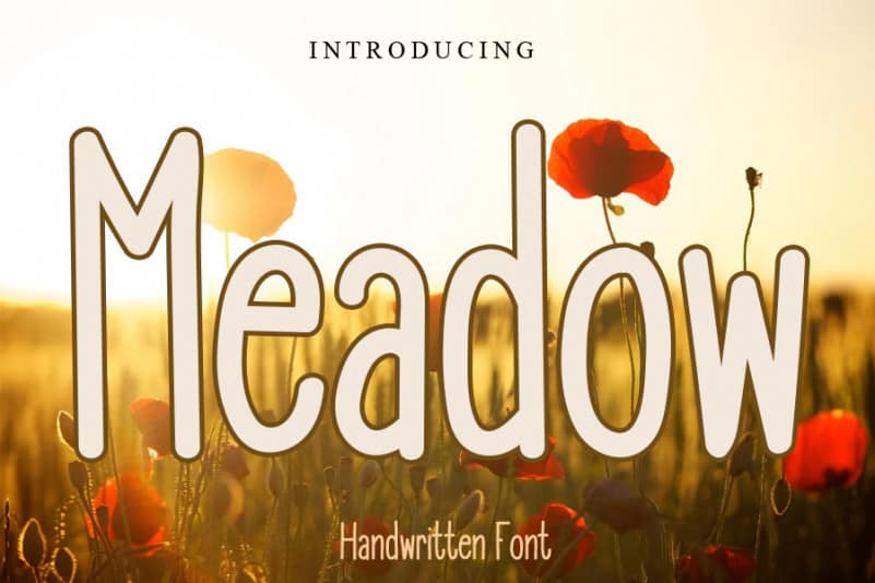 Meadow Display Font