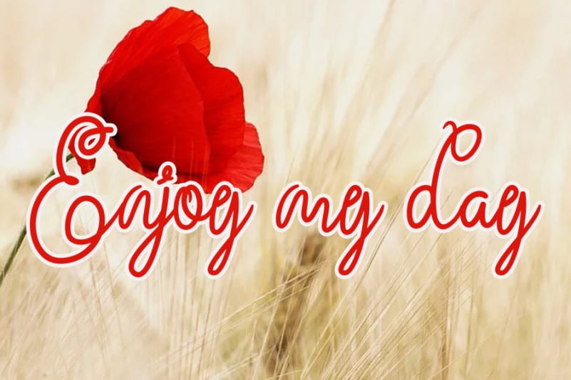 Butter Valentine Handwritten Font preview image 2