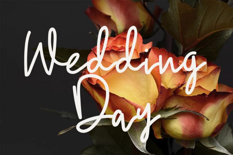 Love Kitchen Handwritten Font preview image 2