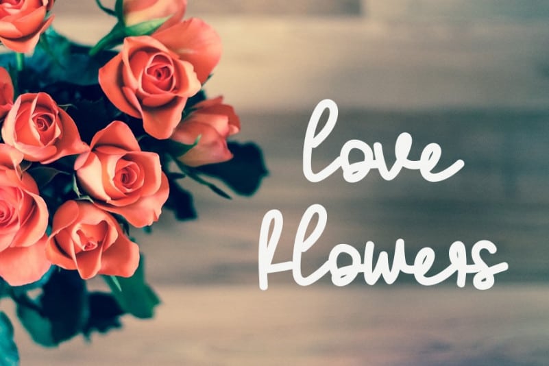 Love Family Handwritten Font preview image 2