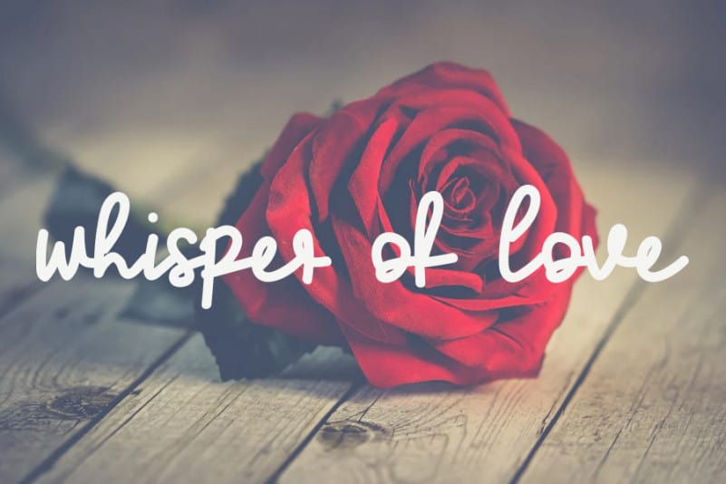 Love Family Handwritten Font preview image 3