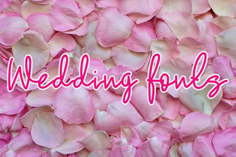 Love Kitchen Handwritten Font preview image 4
