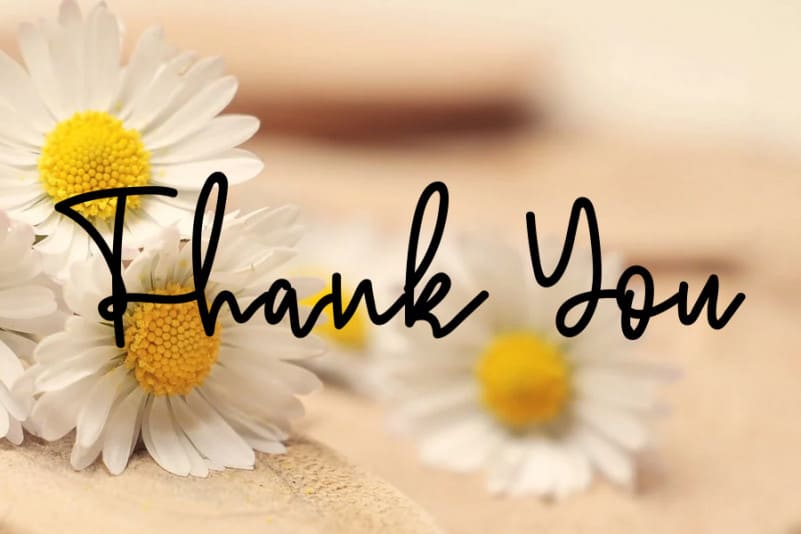 Love Kitchen Handwritten Font preview image 5