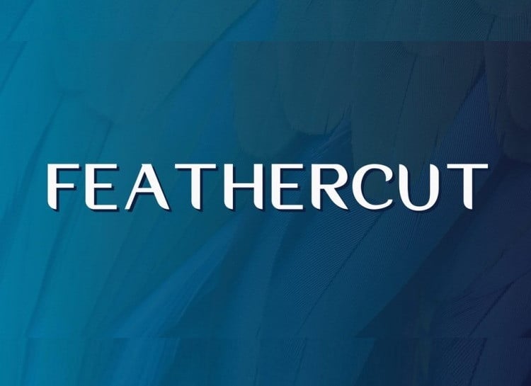 Feathercut Sans Serif Font