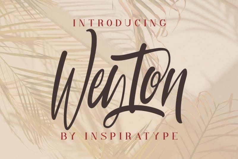 Weyton Calligraphy Font