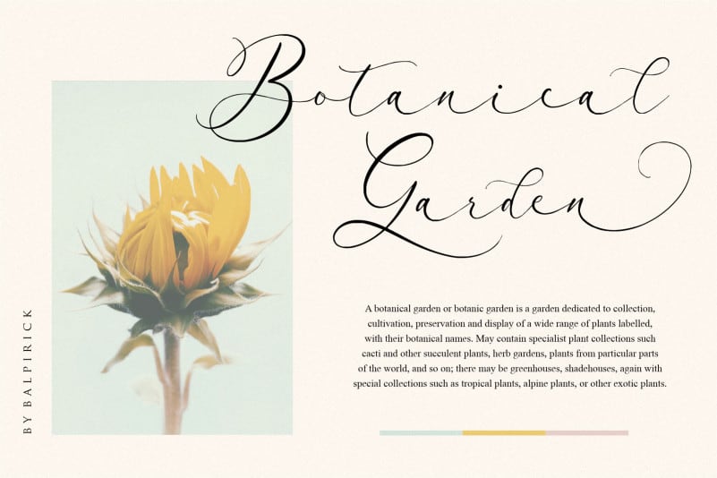 Arletta Script Font preview image 2