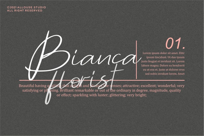 Barrirstar Script Font preview image 2