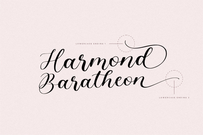 Angelinea Elegant Calligraphy Font preview image 3
