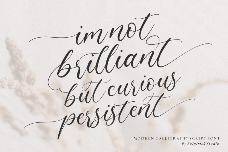 Claytona Calligraphy Font preview image 3