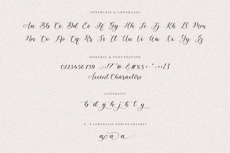 Angelinea Elegant Calligraphy Font preview image 4