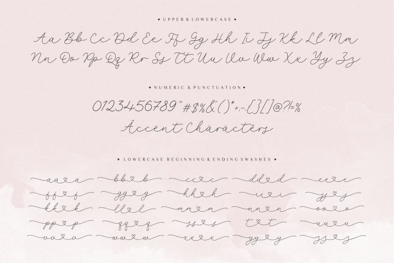 Selyna Avelyn Script Font preview image 5