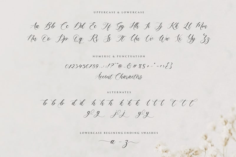 Claytona Calligraphy Font preview image 4