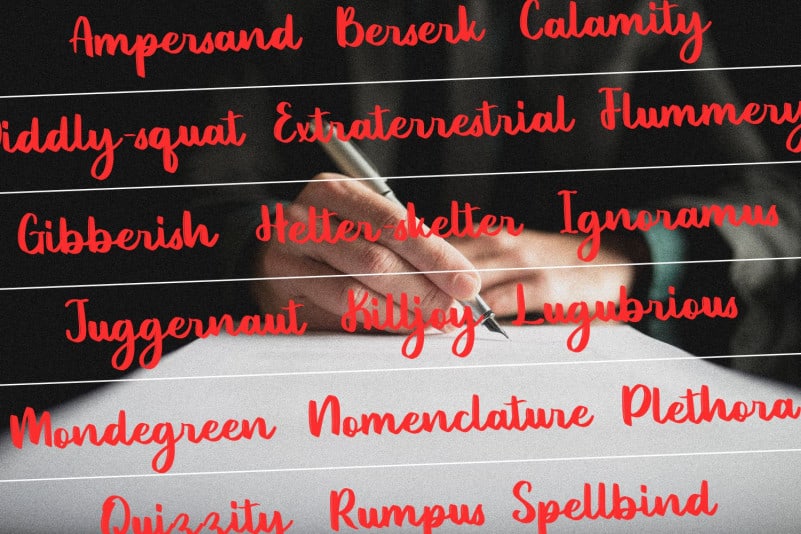 Omniface Script Font preview image 5