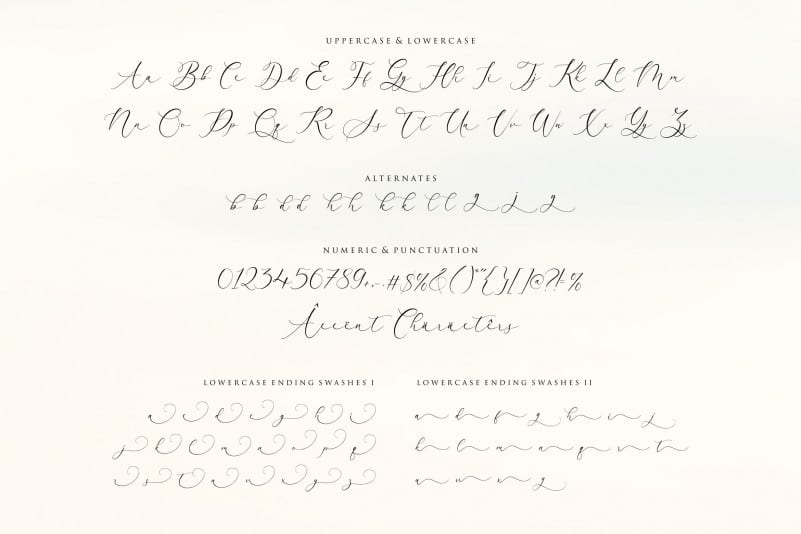 Arletta Script Font preview image 4