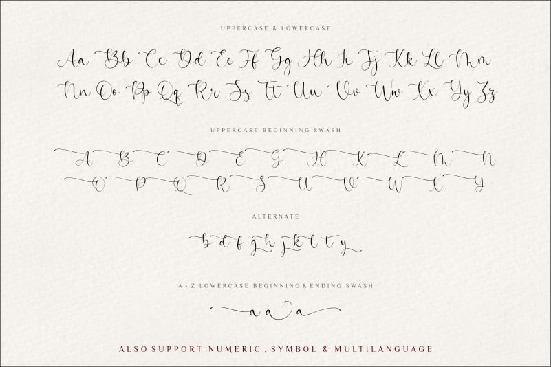 Beatrica Script Font preview image 4