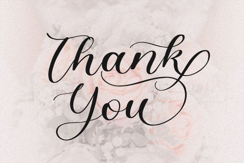 Angelinea Elegant Calligraphy Font preview image 5