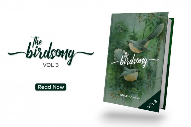Harmonize Brush Font preview image 4