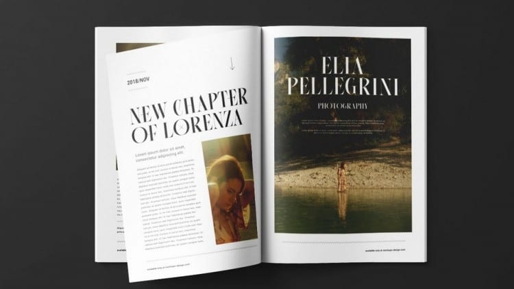 Consent Serif Font preview image 2