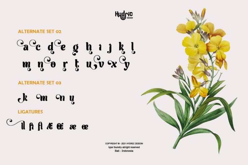 Milli Display Typeface preview image 3
