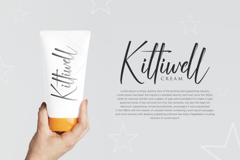 Uniondale Script Font preview image 2