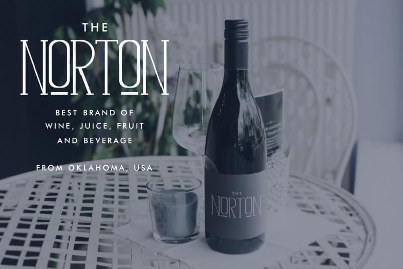 Authoria Serif Font preview image 2