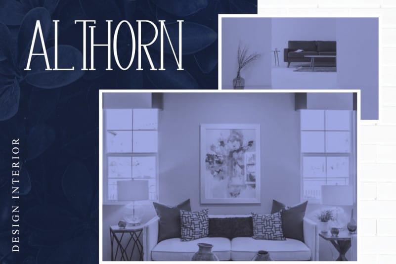 Authoria Serif Font preview image 4
