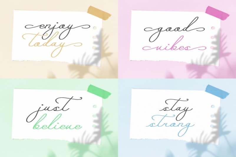 Paradisy Signature Script Font preview image 5