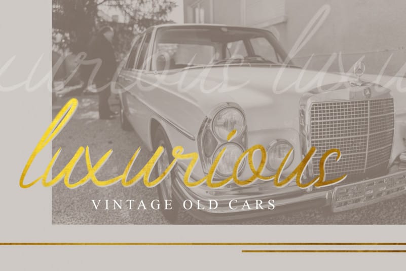 Biographical Script Font preview image 5