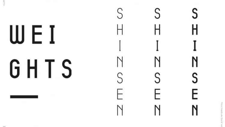 Shinsen Sans Serif Font preview image 2