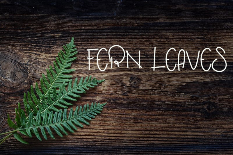 Farmhouse Handwritten Font preview image 2