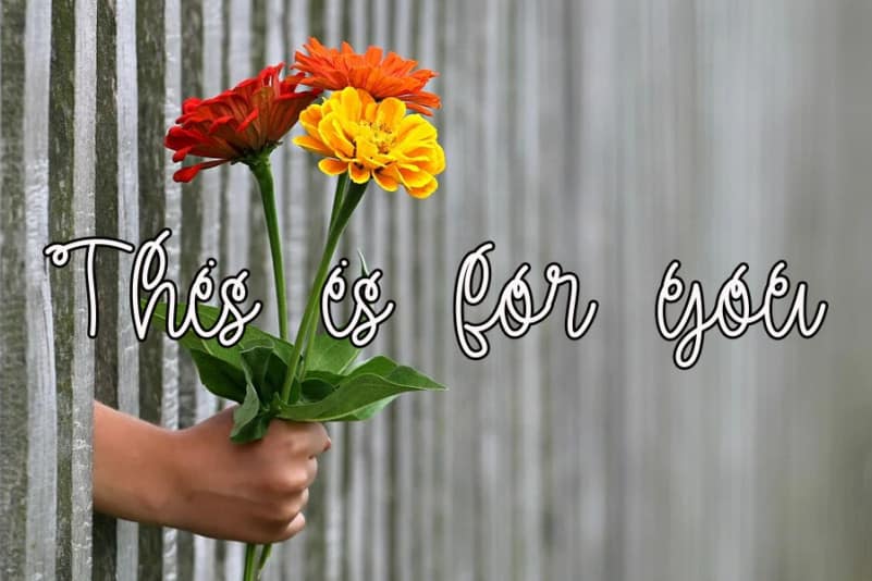 Butterfly Handwritten Font preview image 2