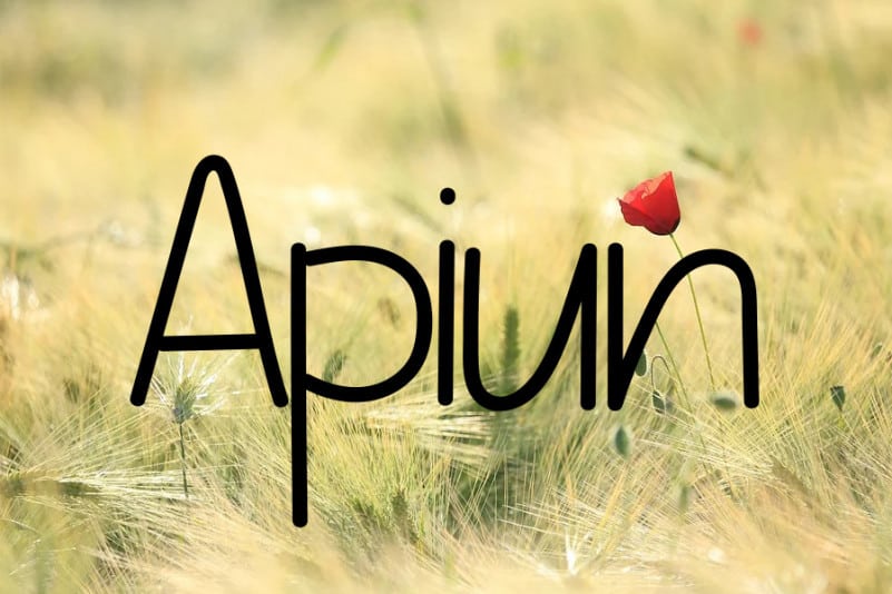 Embroiderr Display Font preview image 2