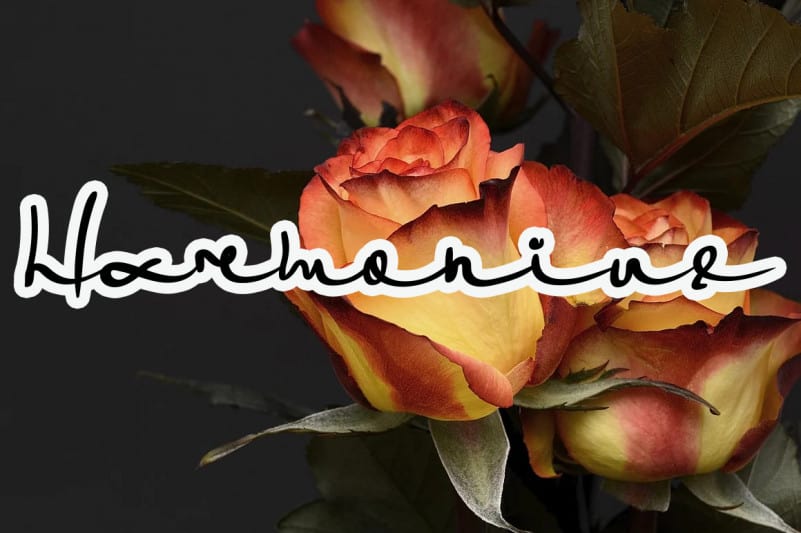 Billion Script Font preview image 3