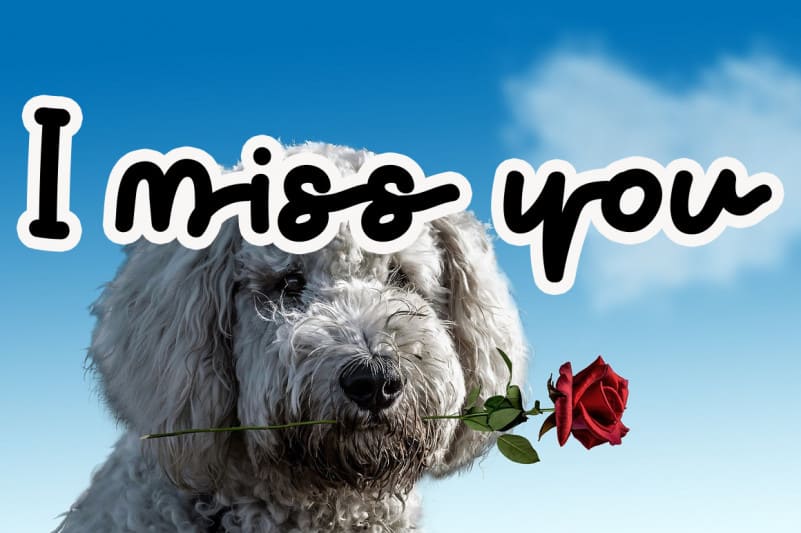 Cute Valentine Handwritten Font preview image 3