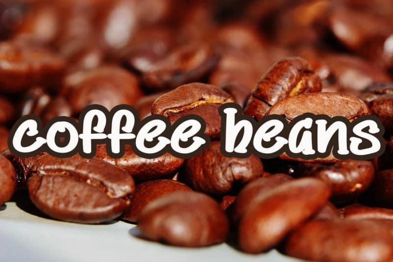 Coco Water Display Font preview image 4