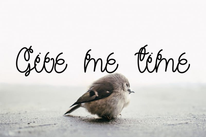 Butterfly Handwritten Font preview image 4