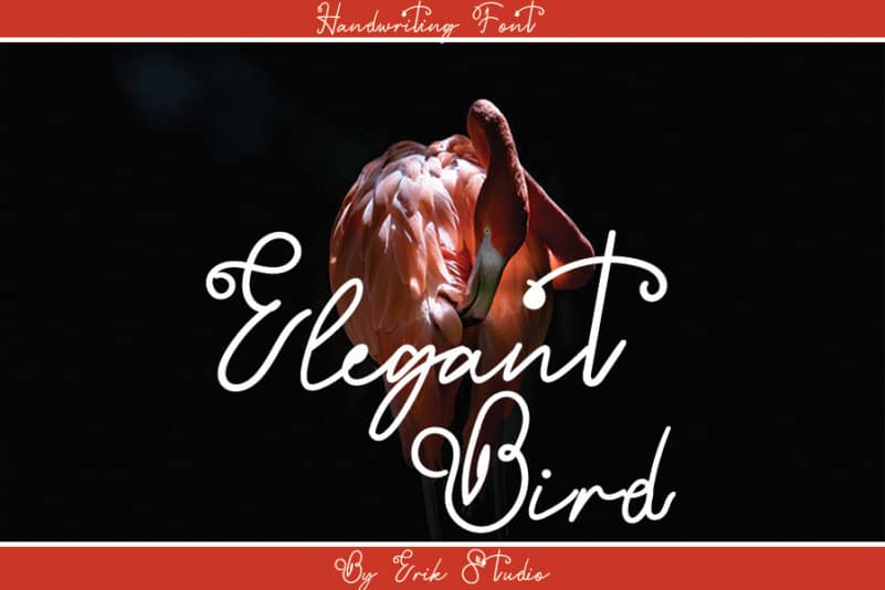 Hey Flamingo Handwritten Font preview image 3