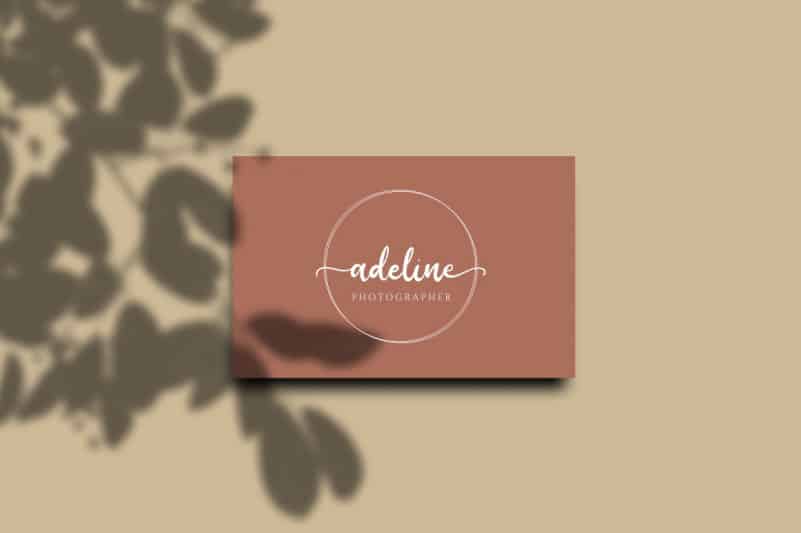 Birdy Home Script Font preview image 2