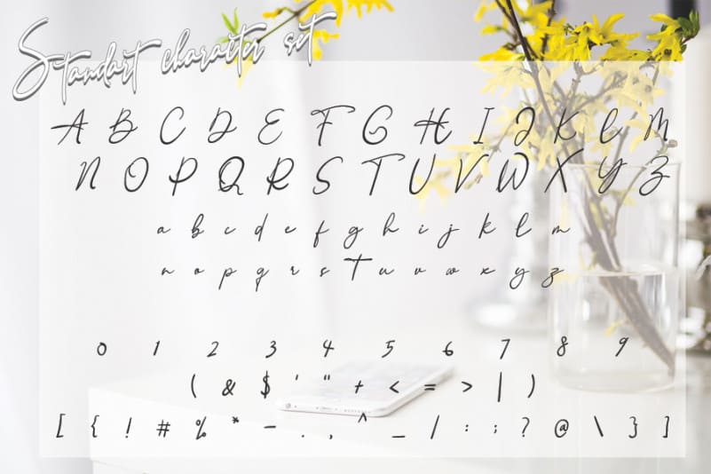 Home Alone Script Font preview image 4