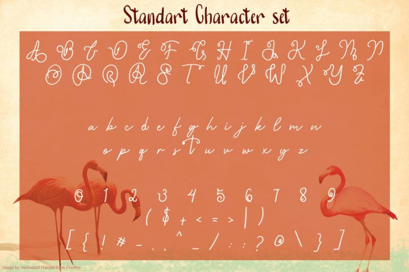 Hey Flamingo Handwritten Font preview image 4