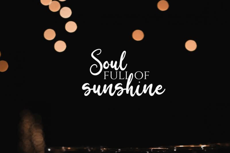 Birdy Home Script Font preview image 5
