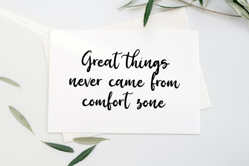 Birdy Home Script Font preview image 3