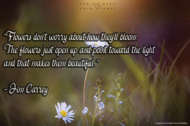 Daisy Flowers Script Font preview image 2