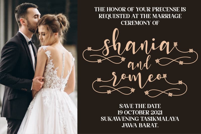 Shania Honey Calligraphy Font preview image 2