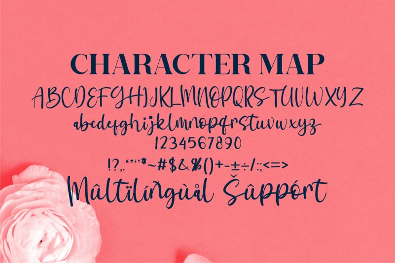 Meyabi Script Font preview image 3