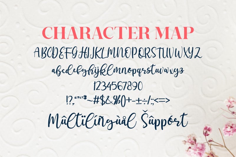 Andiani Script Font preview image 3