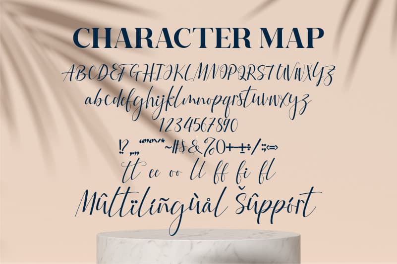 Fattia Script Font preview image 3