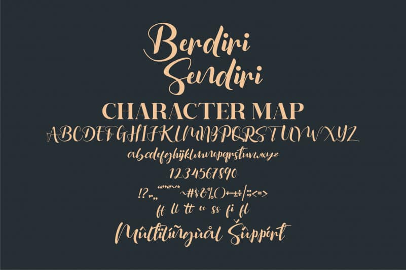 Berdiri Sendiri Script Font preview image 3